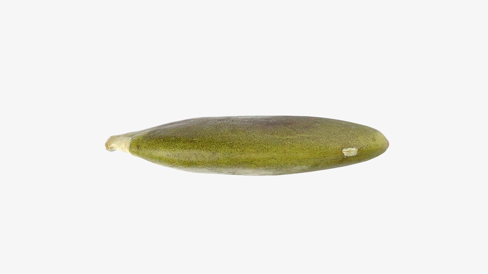 3D Peeled Pumpkin Seed 02 - 3D Scanned https://p.turbosquid.com/ts-thumb/GA/4zyjoh/CI/pumpkinseedpeeled02_0003/png/1775038638/1920x1080/fit_q87/979fca95322c5cf3bcf2e5d7ddda280ae9399919/pumpkinseedpeeled02_0003.jpg