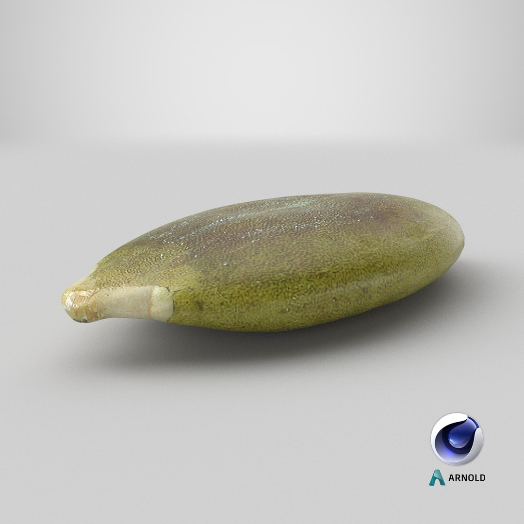 3D Peeled Pumpkin Seed 02 - 3D Scanned https://p.turbosquid.com/ts-thumb/GA/4zyjoh/Rj/stemcell_cinema_4d_arnold_render/png/1776876588/1920x1080/fit_q87/eff9cf64ff5e3854f3cbb5fd7724c1803b771217/stemcell_cinema_4d_arnold_render.jpg