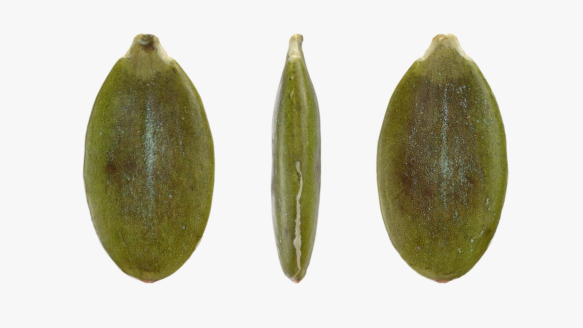3D Peeled Pumpkin Seed 02 - 3D Scanned https://p.turbosquid.com/ts-thumb/GA/4zyjoh/Uj/pumpkinseedpeeled02_0001b/png/1775038635/1920x1080/fit_q87/661ab5fcafb8185f75dd46aed00ecea233e1a797/pumpkinseedpeeled02_0001b.jpg