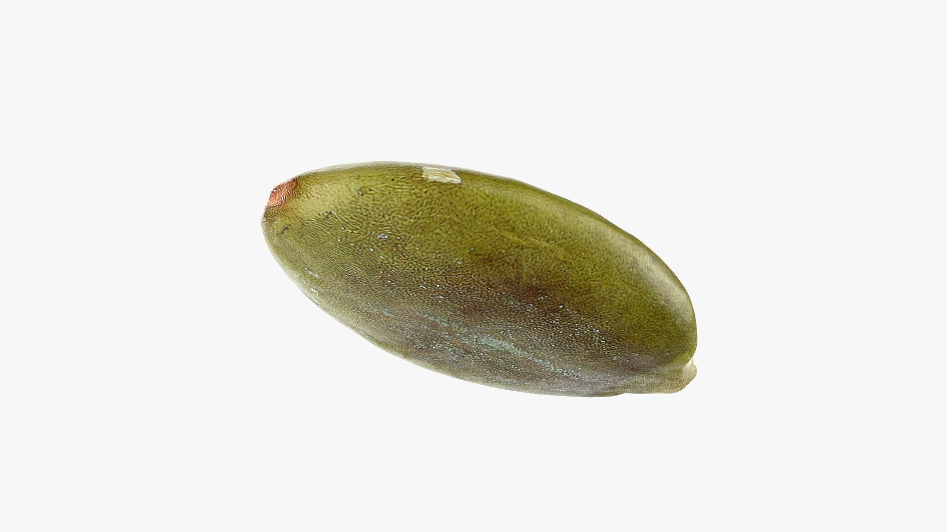 3D Peeled Pumpkin Seed 02 - 3D Scanned https://p.turbosquid.com/ts-thumb/GA/4zyjoh/Wu/pumpkinseedpeeled02_0009/png/1775038644/1920x1080/fit_q87/bc6db3e2ab4db40a3b98f1d1cec764580ab65178/pumpkinseedpeeled02_0009.jpg