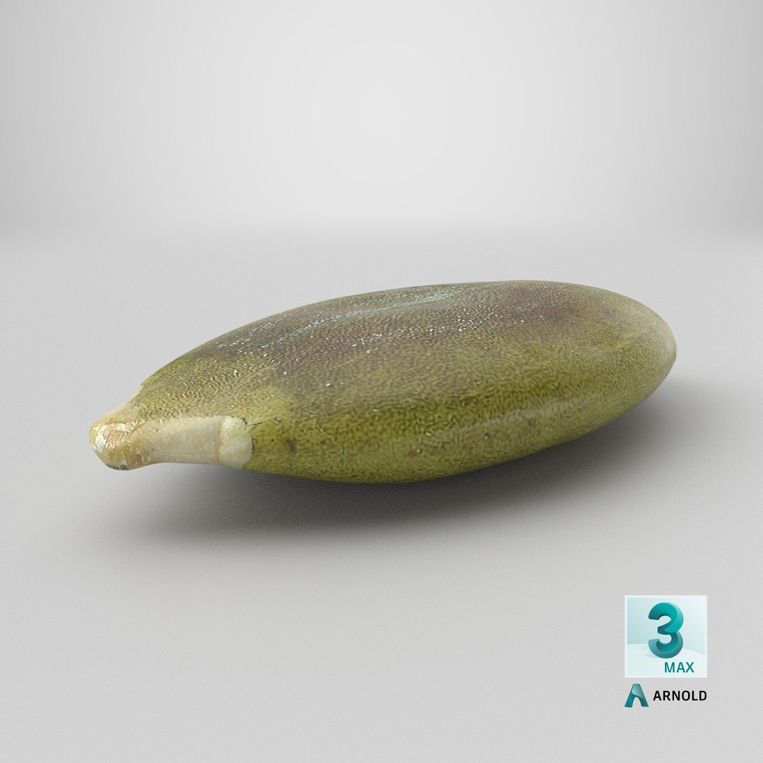 3D Peeled Pumpkin Seed 02 - 3D Scanned https://p.turbosquid.com/ts-thumb/GA/4zyjoh/Zc/stemcell_max_arnold_render/png/1776876595/1920x1080/fit_q87/ad5b5529b803acf7882a42a27b99bad5537fc2cb/stemcell_max_arnold_render.jpg