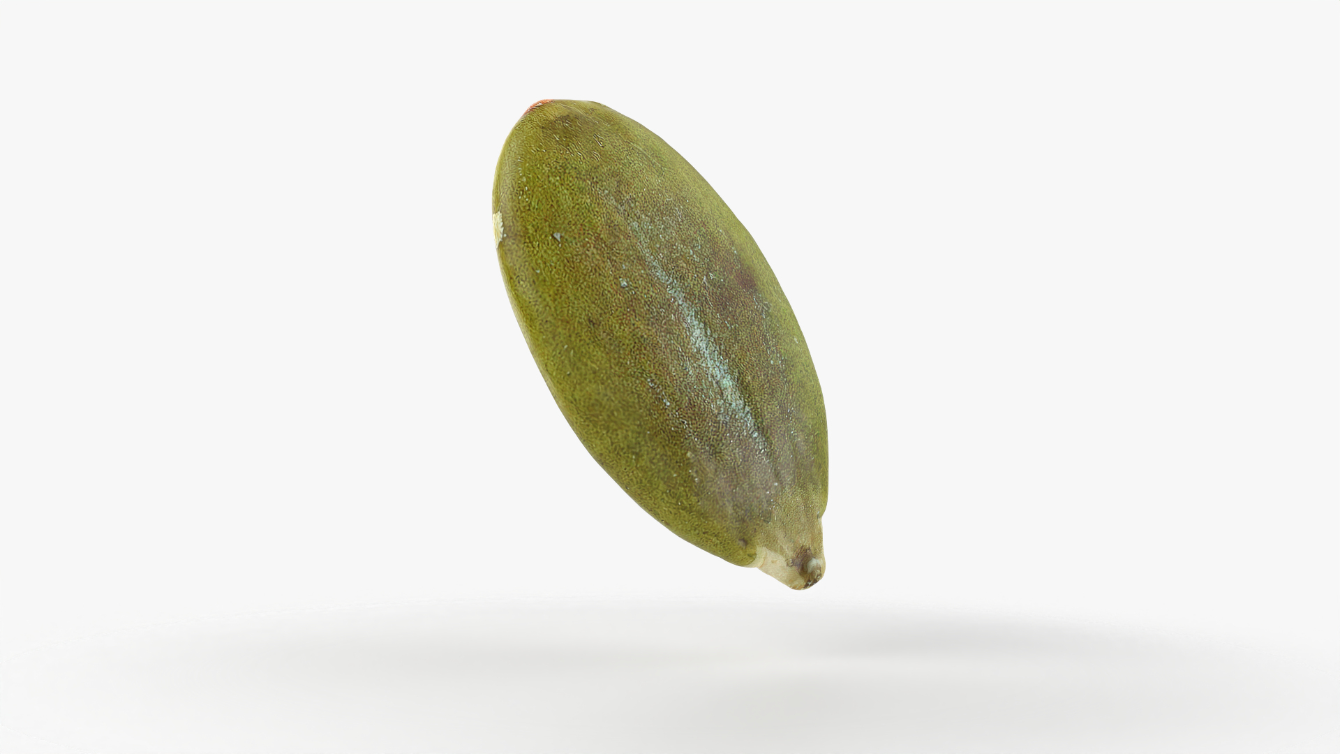 3D Peeled Pumpkin Seed 02 - 3D Scanned https://p.turbosquid.com/ts-thumb/GA/4zyjoh/iJ/pumpkinseedpeeled02/png/1775895037/1920x1080/turn_fit_q99/1f0bee762d6f67048f723d0a95254321c0aa6398/pumpkinseedpeeled02-1.jpg