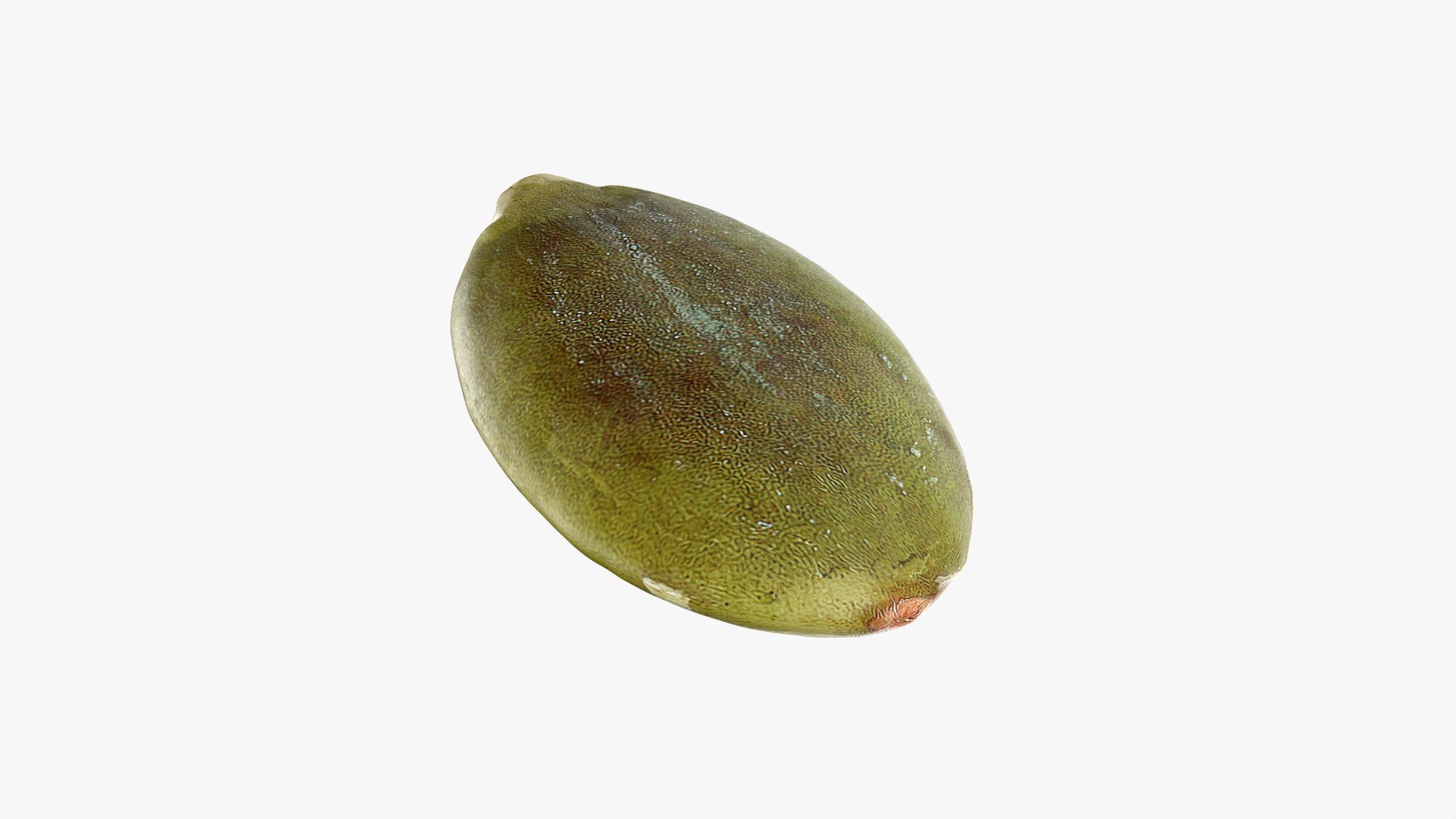3D Peeled Pumpkin Seed 02 - 3D Scanned https://p.turbosquid.com/ts-thumb/GA/4zyjoh/k9/pumpkinseedpeeled02_0008/png/1775038647/1920x1080/fit_q87/1c942450c3075e4faa34e53792bb5aa2545db1fb/pumpkinseedpeeled02_0008.jpg