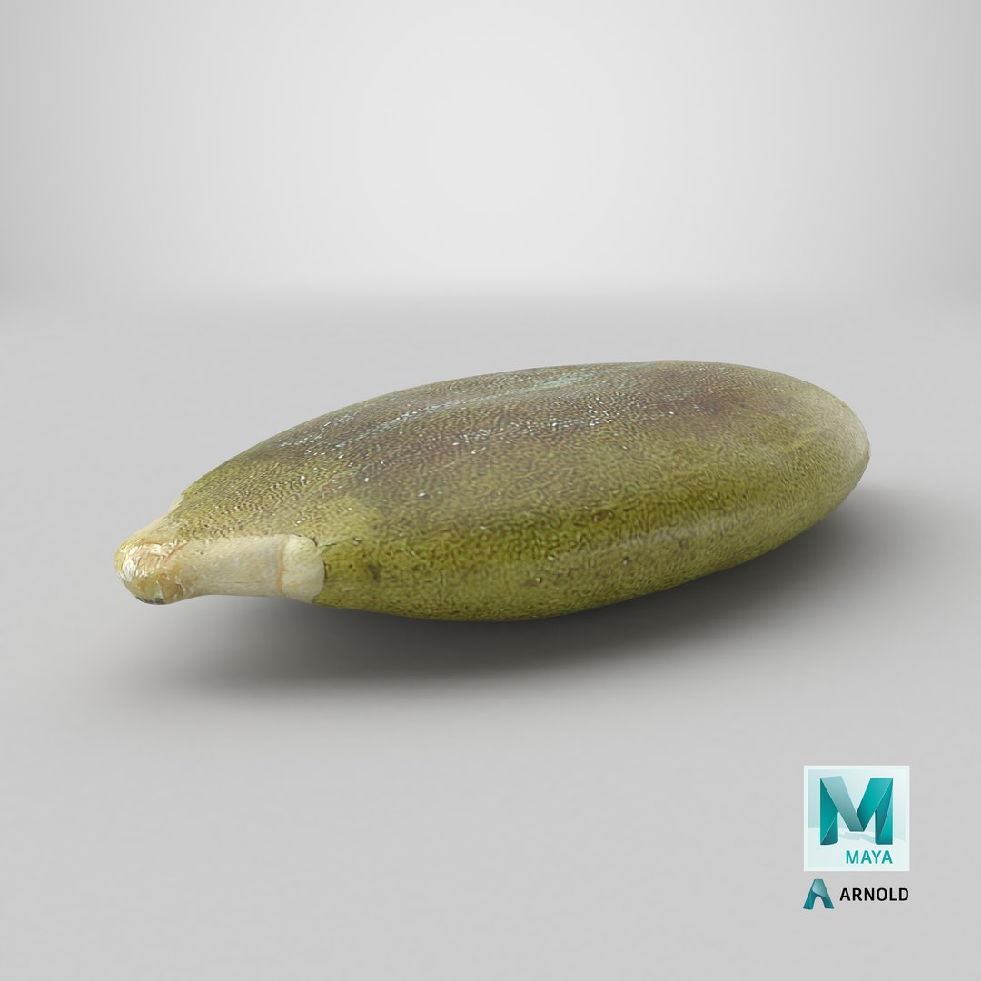 3D Peeled Pumpkin Seed 02 - 3D Scanned https://p.turbosquid.com/ts-thumb/GA/4zyjoh/oY/stemcell_maya_arnold_render/png/1776876584/1920x1080/fit_q87/1d534c19a85a5e6802e773968969efd4c8186a63/stemcell_maya_arnold_render.jpg
