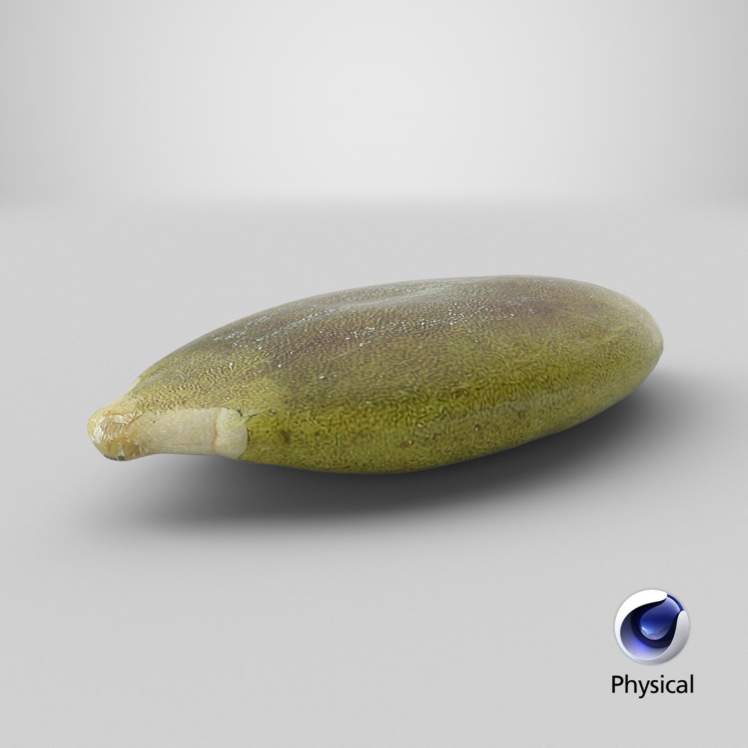 3D Peeled Pumpkin Seed 02 - 3D Scanned https://p.turbosquid.com/ts-thumb/GA/4zyjoh/pW/stemcell_cinema_4d_physical_render/png/1776876590/1920x1080/fit_q87/9671076d80373a88a51ec8bacdf6e3a165e39f92/stemcell_cinema_4d_physical_render.jpg