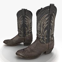 Cowboy Boot Vintage