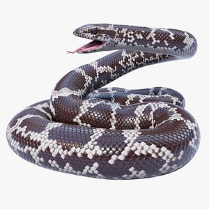 Animated Kenyan Sand Boa