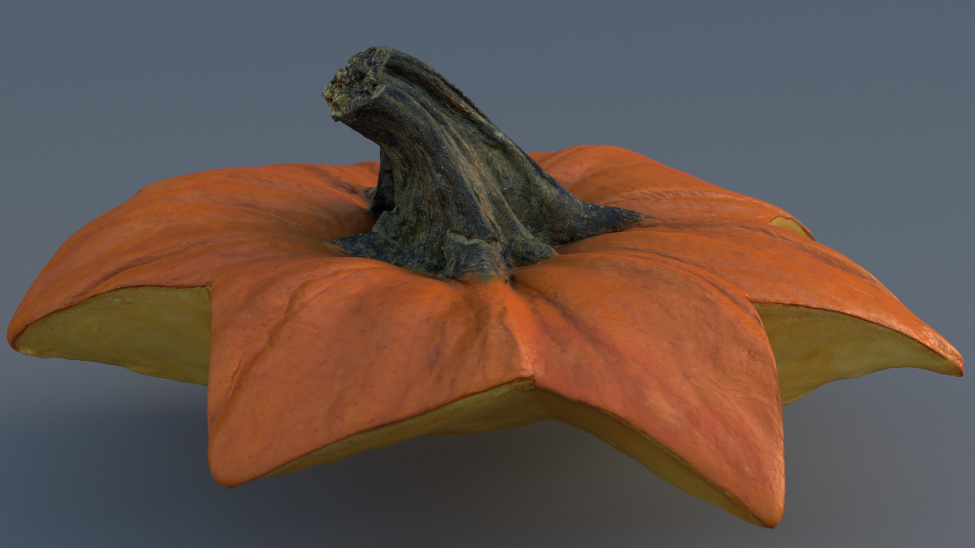 photogrammetry scan halloween pumpkin 3D model https://p.turbosquid.com/ts-thumb/GA/FQKXJL/j9P8uUzg/pumpkin_v09/jpg/1603778699/1920x1080/fit_q87/140b61268edd7efdb227de0becc806063e3b2226/pumpkin_v09.jpg