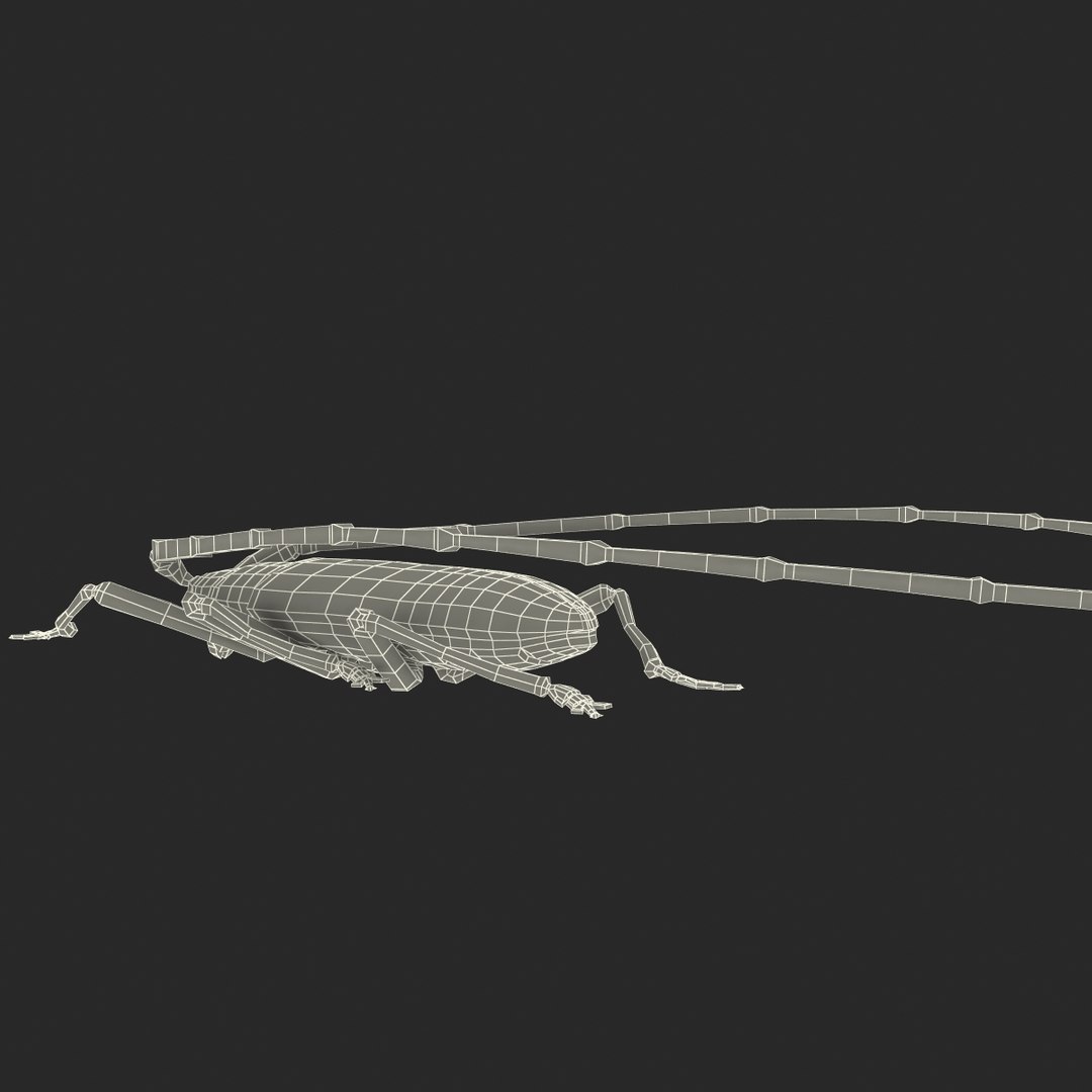 3d model of monochamus galloprovincialis https://p.turbosquid.com/ts-thumb/GA/PmJhLu/6gN3ZrSk/monochamusgalloprovincialis_170/jpg/1400642496/1920x1080/fit_q87/de42ed4bc960f1d8b95343684cb4022a826ad2d2/monochamusgalloprovincialis_170.jpg