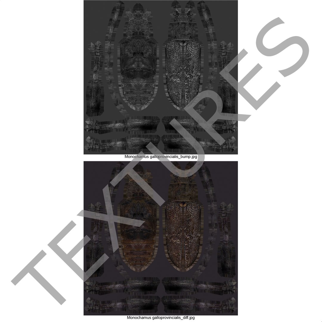 3d model of monochamus galloprovincialis https://p.turbosquid.com/ts-thumb/GA/PmJhLu/d3Q185T4/monochamusgalloprovincialis_177/jpg/1400642620/1920x1080/fit_q87/60ea0d7de9f1a127d1a487099d87dd10eef693c3/monochamusgalloprovincialis_177.jpg