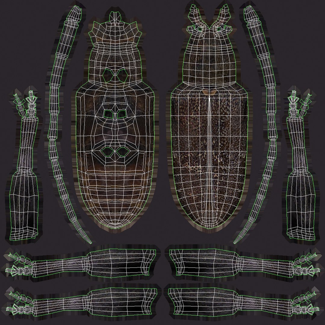 3d model of monochamus galloprovincialis https://p.turbosquid.com/ts-thumb/GA/PmJhLu/eLRtvMBA/monochamusgalloprovincialis_178/jpg/1400642630/1920x1080/fit_q87/b84ab4d1f7dba23a24013832a797c7b576521426/monochamusgalloprovincialis_178.jpg