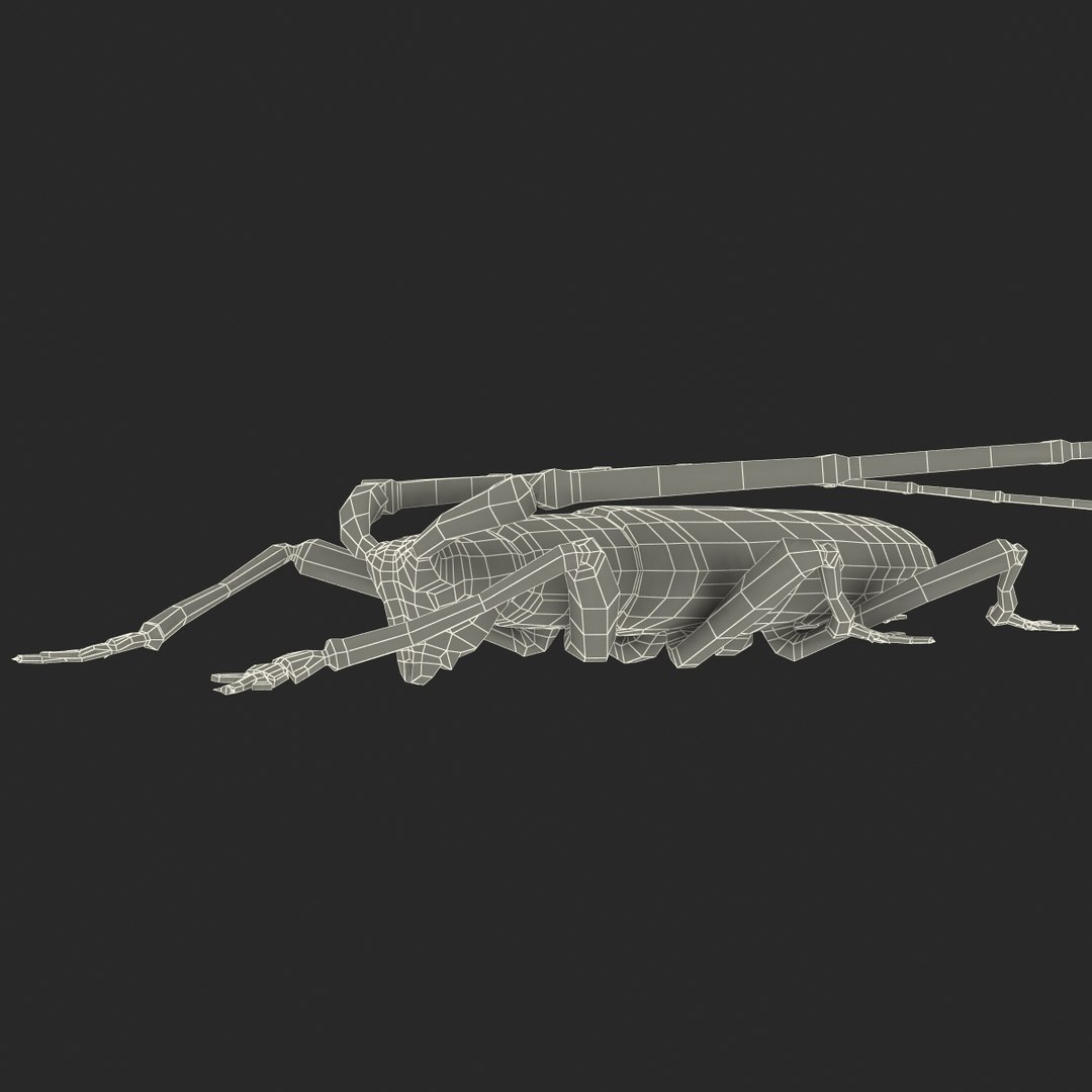 3d model of monochamus galloprovincialis https://p.turbosquid.com/ts-thumb/GA/PmJhLu/jHnMnaQq/monochamusgalloprovincialis_173/jpg/1400642582/1920x1080/fit_q87/0c03c737e2c126ca25871efdd282c0a4390763e5/monochamusgalloprovincialis_173.jpg