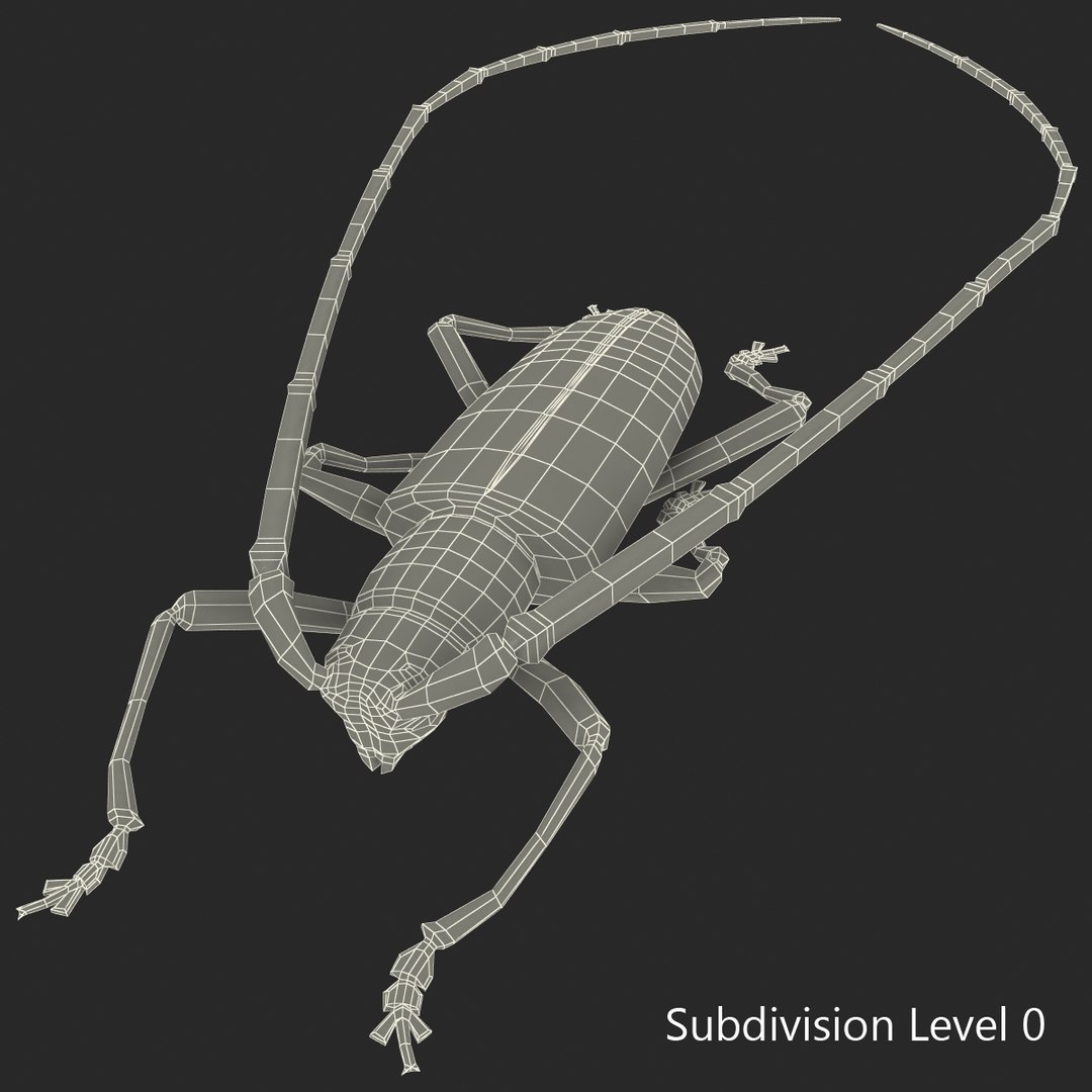 3d model of monochamus galloprovincialis https://p.turbosquid.com/ts-thumb/GA/PmJhLu/umLNGpUX/monochamusgalloprovincialis_175/jpg/1400642612/1920x1080/fit_q87/b9bf04800affa0d3a34bd250081b6fcc225bf9a6/monochamusgalloprovincialis_175.jpg