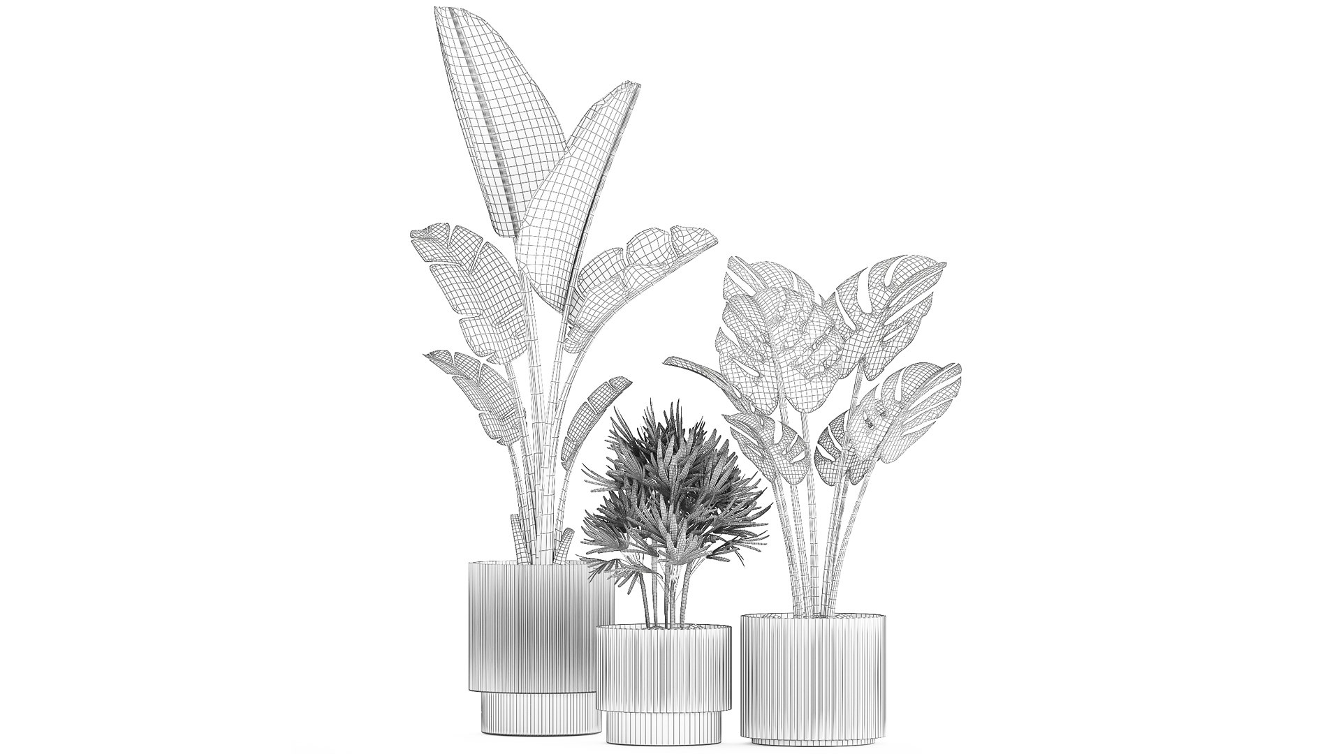 3D Set of small Strelitzia Monstera Raphis Palm plants 1452 model https://p.turbosquid.com/ts-thumb/GA/Rzebrq/Yq/1plants1411202309/jpg/1700310115/1920x1080/fit_q87/22609bb3da7cbc6fae34f0749fa984471317834a/1plants1411202309.jpg