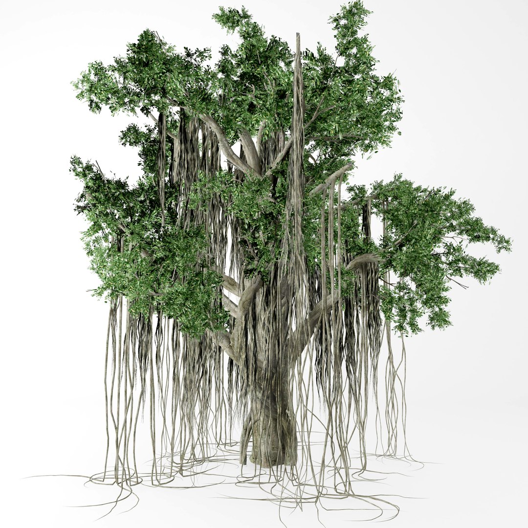 3D Banyan Tree Model - TurboSquid 1427988