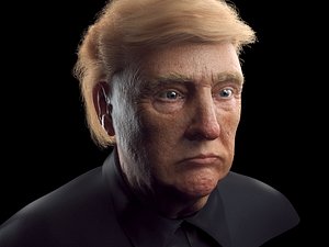 Donald Trump head