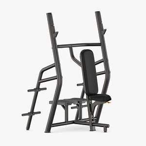 gym fitness weight model