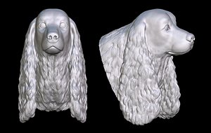 3D cocker spaniel head