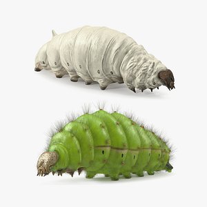 Silkworms Fur Rigged Collection 3D model