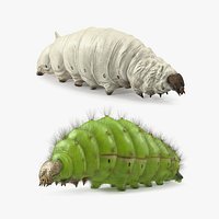 Silkworms Fur Rigged Collection
