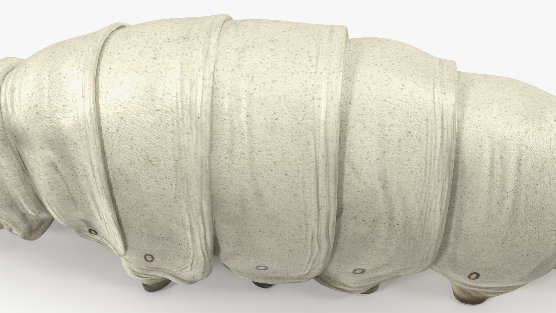 Silkworms Fur Rigged Collection 3D model https://p.turbosquid.com/ts-thumb/GA/lNTtdJ/7t/silkwormsfurriggedcollection3dmodel018/jpg/1657220010/1920x1080/fit_q87/2954339c2941f08f289cc1e06eee501a7baaa099/silkwormsfurriggedcollection3dmodel018.jpg