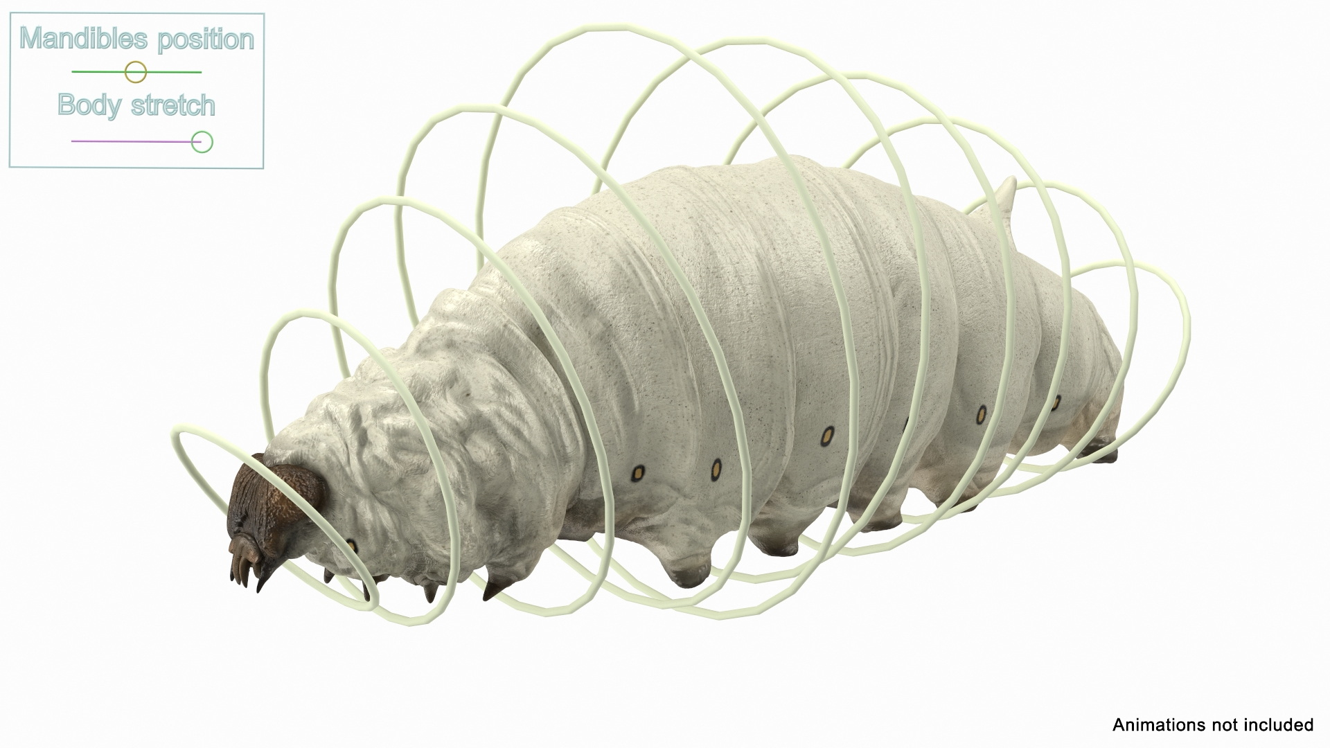 Silkworms Fur Rigged Collection 3D model https://p.turbosquid.com/ts-thumb/GA/lNTtdJ/8T/silkworm_white_rigged_362/jpg/1657220632/1920x1080/turn_fit_q99/c9330590951b7f3d3ec47f089859f8918b71d2bd/silkworm_white_rigged_362-1.jpg