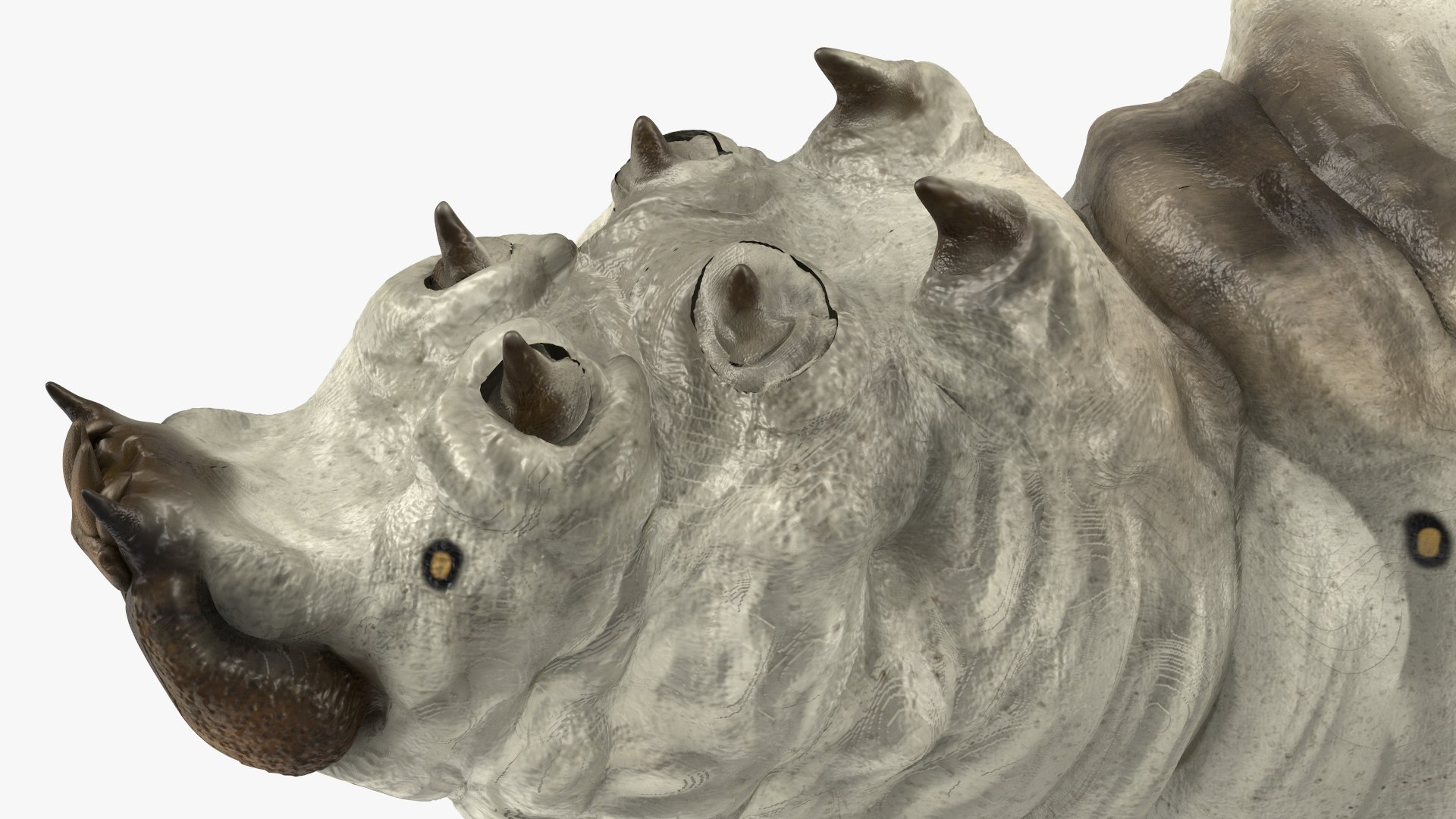 Silkworms Fur Rigged Collection 3D model https://p.turbosquid.com/ts-thumb/GA/lNTtdJ/9G/silkwormsfurriggedcollection3dmodel017/jpg/1657220006/1920x1080/fit_q87/9a1871b4aa6094df419433396147f53594bf3421/silkwormsfurriggedcollection3dmodel017.jpg