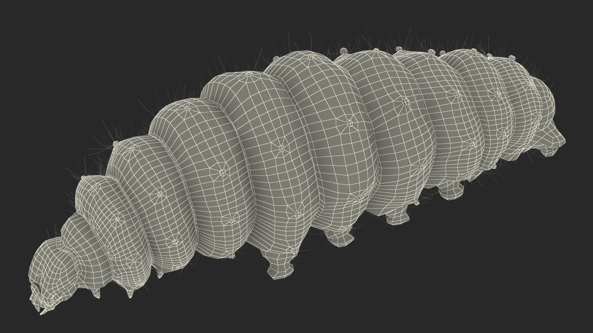 Silkworms Fur Rigged Collection 3D model https://p.turbosquid.com/ts-thumb/GA/lNTtdJ/FC/silkwormsfurriggedcollection3dmodel035/jpg/1657220071/1920x1080/fit_q87/d5b2705fee034e1d18b2e824dc67bfa9f78f20cb/silkwormsfurriggedcollection3dmodel035.jpg