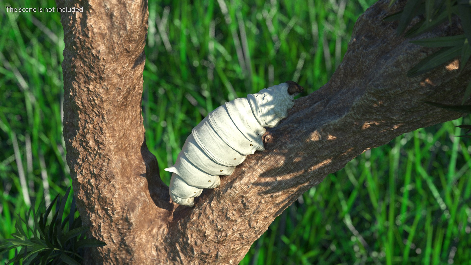 Silkworms Fur Rigged Collection 3D model https://p.turbosquid.com/ts-thumb/GA/lNTtdJ/IV/silkwormsfurriggedcollection3dmodel004/jpg/1657219962/1920x1080/fit_q87/c5e118b7aea1b323b1f694a1e8befb64806b64f8/silkwormsfurriggedcollection3dmodel004.jpg