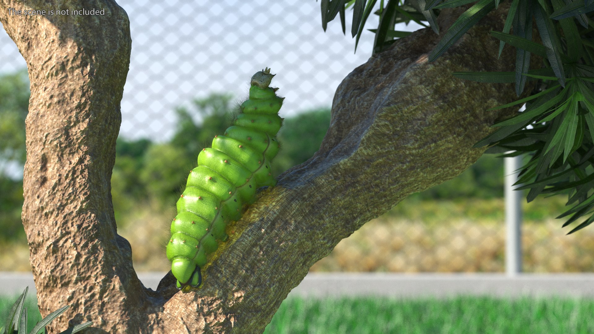 Silkworms Fur Rigged Collection 3D model https://p.turbosquid.com/ts-thumb/GA/lNTtdJ/Kq/silkwormsfurriggedcollection3dmodel021/jpg/1657220023/1920x1080/fit_q87/a9660dc35d7f8621608ab372d3122c909d0dad09/silkwormsfurriggedcollection3dmodel021.jpg
