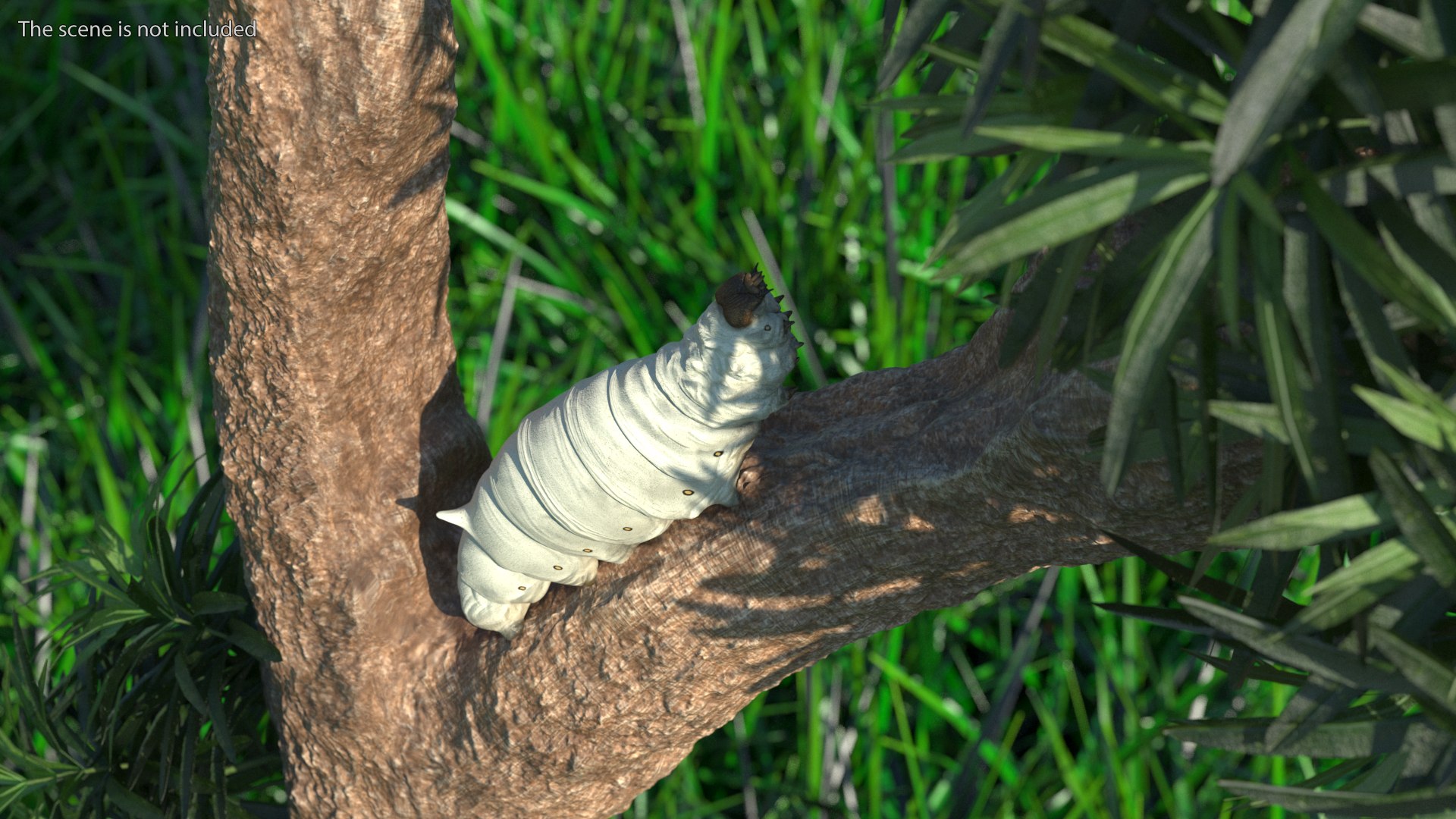 Silkworms Fur Rigged Collection 3D model https://p.turbosquid.com/ts-thumb/GA/lNTtdJ/LS/silkwormsfurriggedcollection3dmodel007/jpg/1657219974/1920x1080/fit_q87/64268f8ba6af6dc6729e4d7d646c32b29a8d0690/silkwormsfurriggedcollection3dmodel007.jpg