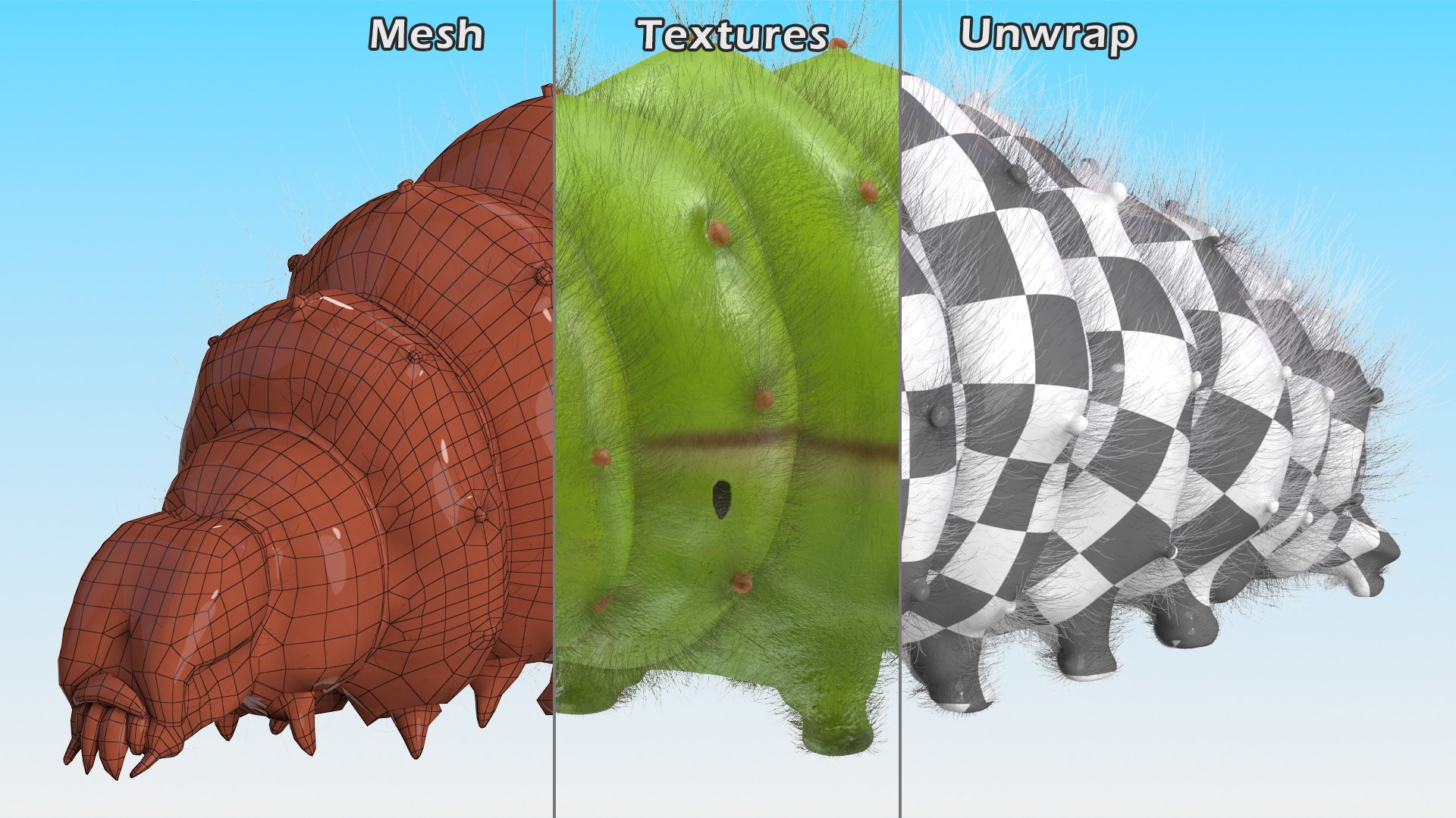 Silkworms Fur Rigged Collection 3D model https://p.turbosquid.com/ts-thumb/GA/lNTtdJ/O3/silkwormsfurriggedcollection3dmodel025/jpg/1657220037/1920x1080/fit_q87/430dbd7ccc3fc468cabdb1ed765ee81421298fb0/silkwormsfurriggedcollection3dmodel025.jpg