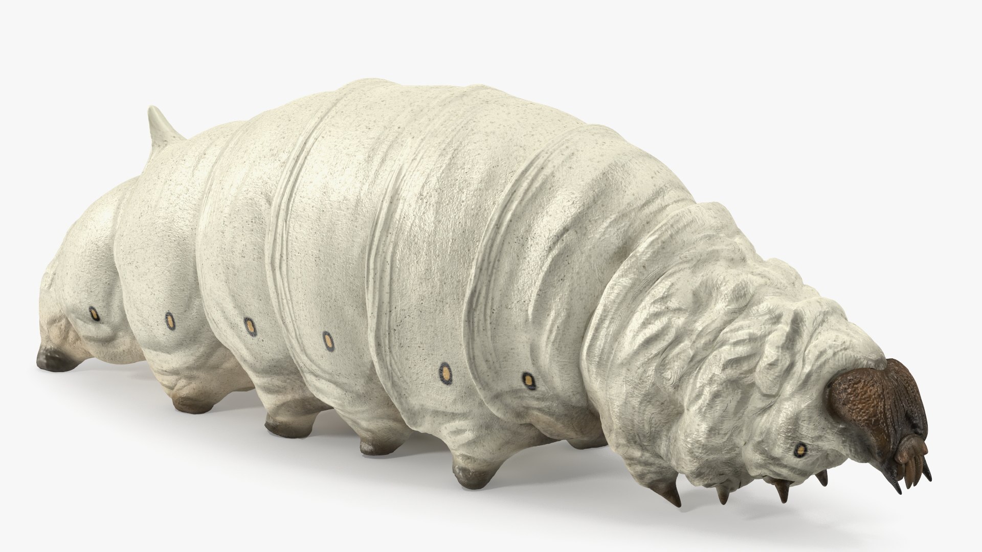 Silkworms Fur Rigged Collection 3D model https://p.turbosquid.com/ts-thumb/GA/lNTtdJ/VI/silkwormsfurriggedcollection3dmodel002/jpg/1657219955/1920x1080/fit_q87/2a188054401a97ccb03305d147b5c89bf27a1a10/silkwormsfurriggedcollection3dmodel002.jpg