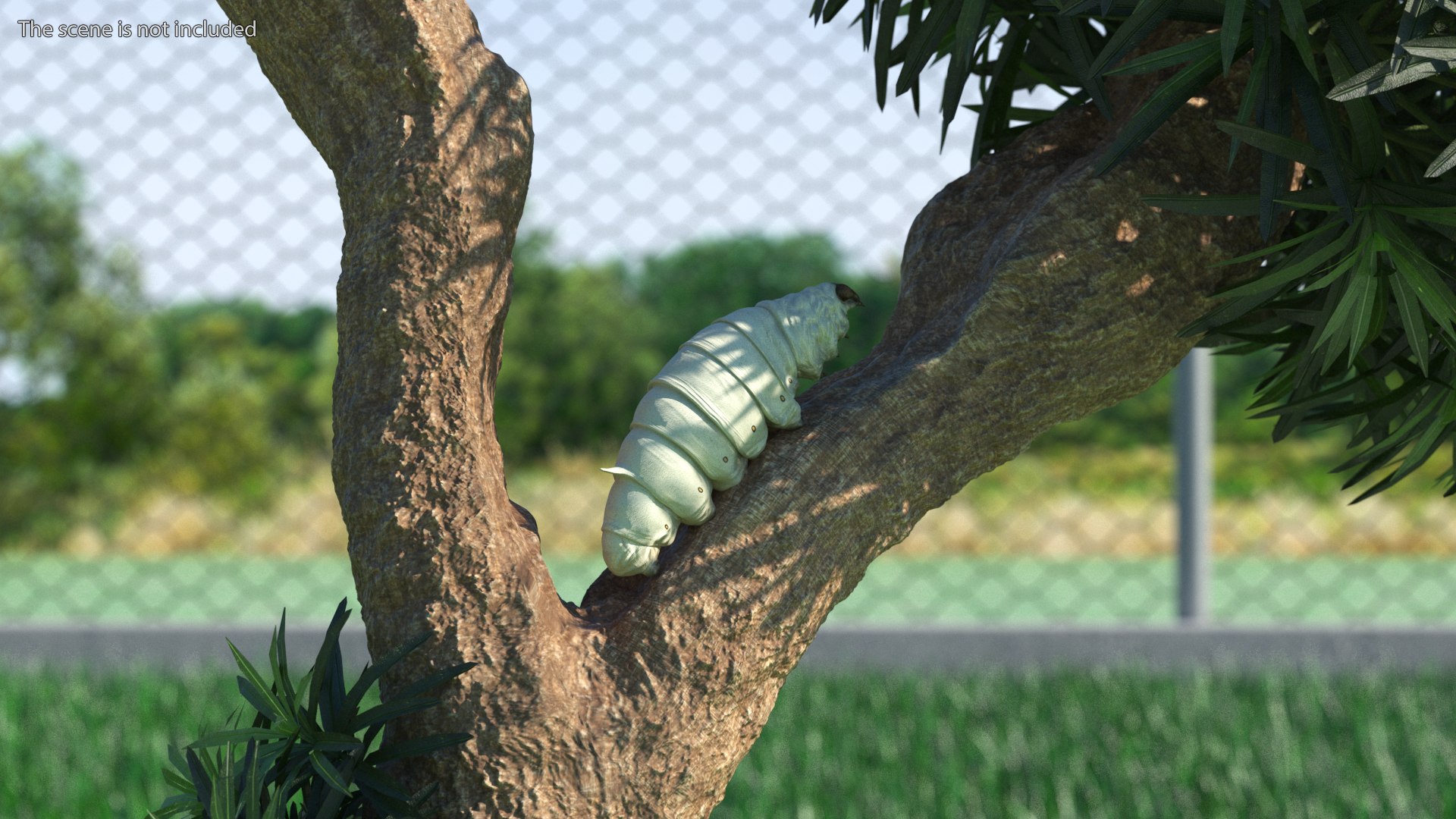 Silkworms Fur Rigged Collection 3D model https://p.turbosquid.com/ts-thumb/GA/lNTtdJ/bJ/silkwormsfurriggedcollection3dmodel003/jpg/1657219958/1920x1080/fit_q87/755a70ff00f215881b147269318eb791cc4942b7/silkwormsfurriggedcollection3dmodel003.jpg