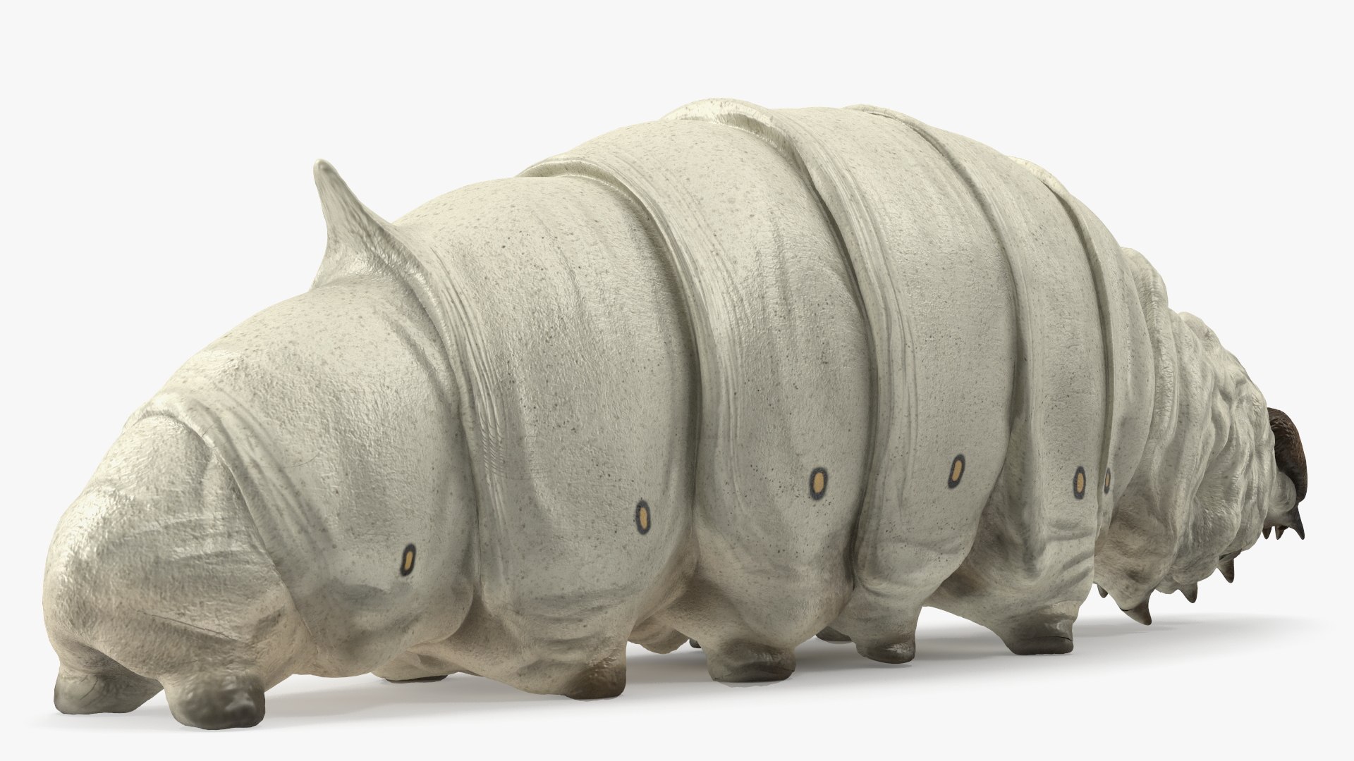 Silkworms Fur Rigged Collection 3D model https://p.turbosquid.com/ts-thumb/GA/lNTtdJ/by/silkwormsfurriggedcollection3dmodel011/jpg/1657219987/1920x1080/fit_q87/828caaea77bb8fca1a6df592ee52d7dc3316e3fc/silkwormsfurriggedcollection3dmodel011.jpg