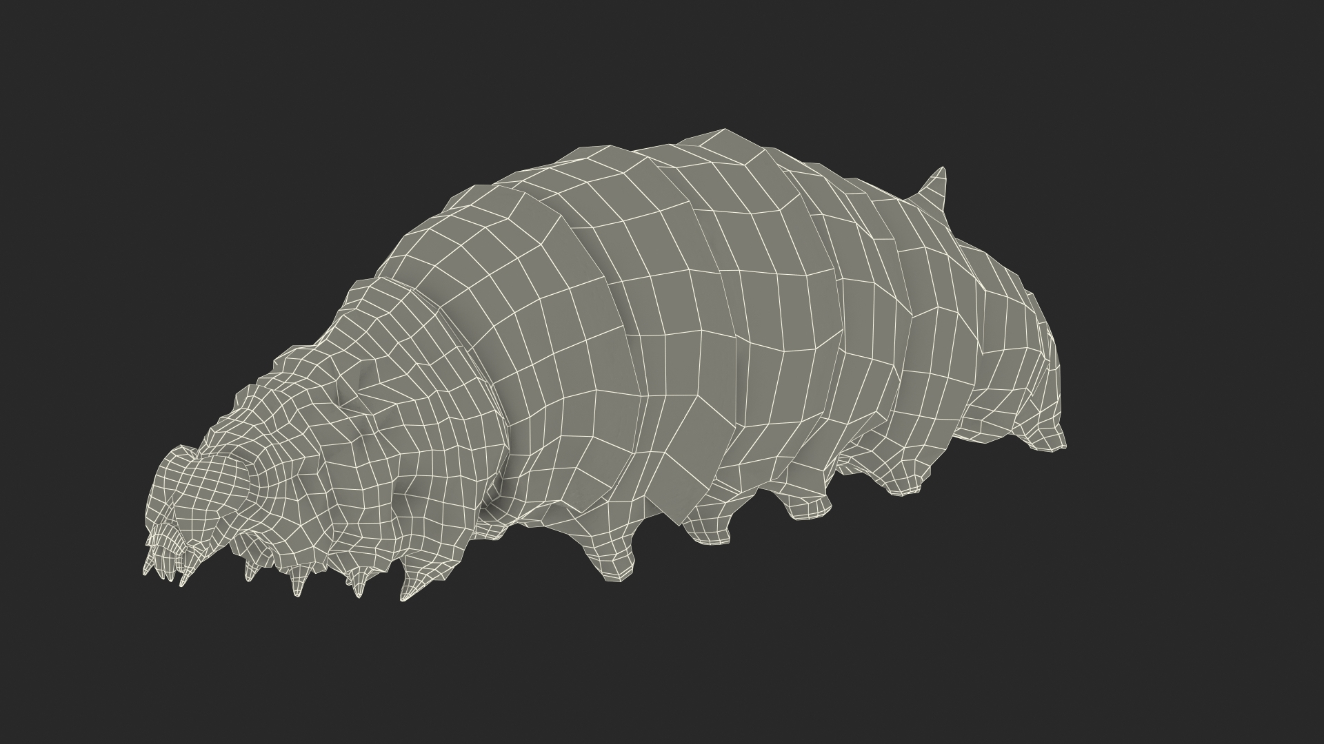 Silkworms Fur Rigged Collection 3D model https://p.turbosquid.com/ts-thumb/GA/lNTtdJ/d1/silkworm_white_rigged_361/jpg/1657220294/1920x1080/turn_fit_q99/6bf09051dd44f4745af3f3bacad1dcd19891cee8/silkworm_white_rigged_361-1.jpg