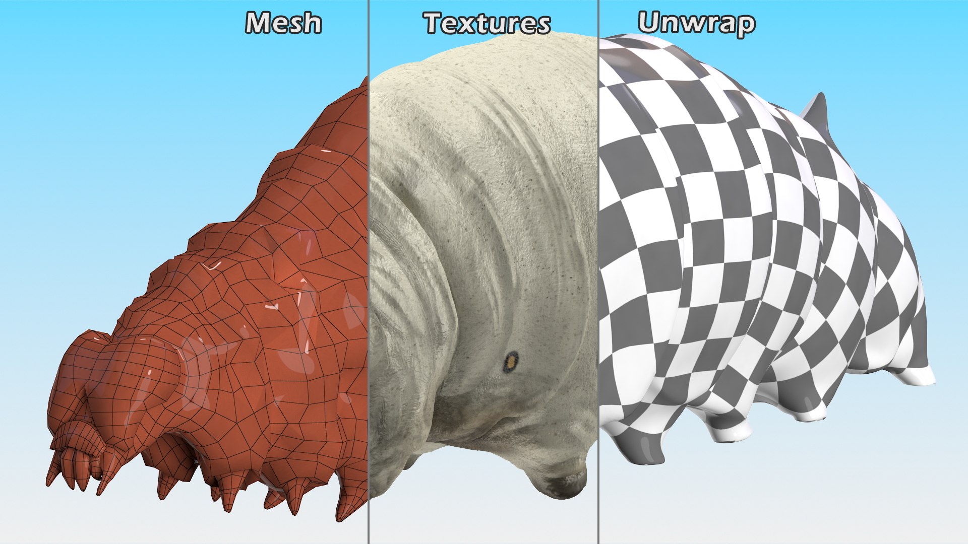 Silkworms Fur Rigged Collection 3D model https://p.turbosquid.com/ts-thumb/GA/lNTtdJ/f4/silkwormsfurriggedcollection3dmodel008/jpg/1657219977/1920x1080/fit_q87/eeca03034263c474ae37a7452203399bc9df1e34/silkwormsfurriggedcollection3dmodel008.jpg