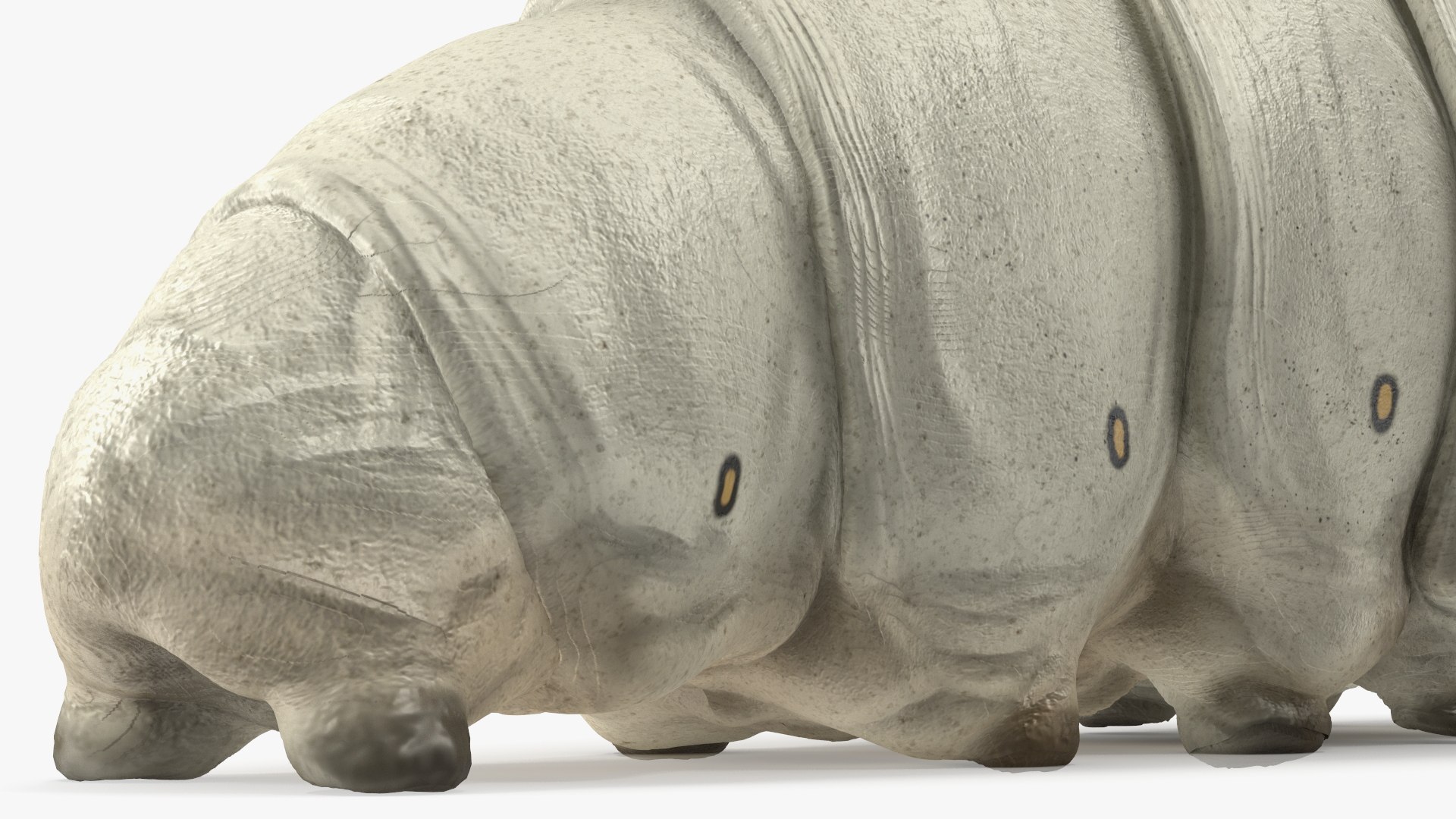 Silkworms Fur Rigged Collection 3D model https://p.turbosquid.com/ts-thumb/GA/lNTtdJ/kz/silkwormsfurriggedcollection3dmodel016/jpg/1657220002/1920x1080/fit_q87/8a86c7cab8ba3d77ffd9bf2f762ebc5f89f4bf7c/silkwormsfurriggedcollection3dmodel016.jpg