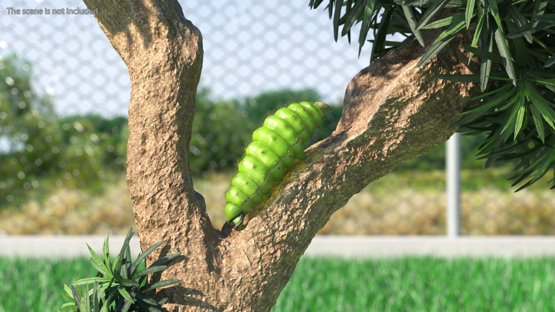Silkworms Fur Rigged Collection 3D model https://p.turbosquid.com/ts-thumb/GA/lNTtdJ/nN/silkwormsfurriggedcollection3dmodel020/jpg/1657220019/1920x1080/fit_q87/861f0bf2fde48b25a63a1f270498be1247244cfb/silkwormsfurriggedcollection3dmodel020.jpg