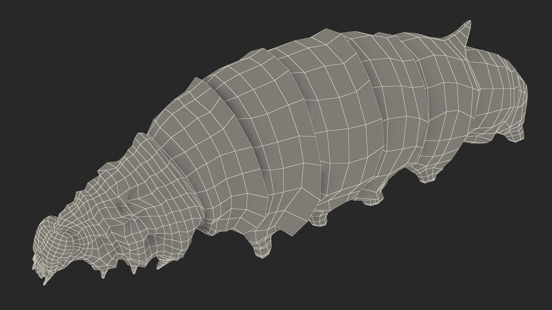 Silkworms Fur Rigged Collection 3D model https://p.turbosquid.com/ts-thumb/GA/lNTtdJ/nd/silkwormsfurriggedcollection3dmodel034/jpg/1657220068/1920x1080/fit_q87/ef2ab5aa77933f72589d542b6b5cf39877c65cea/silkwormsfurriggedcollection3dmodel034.jpg