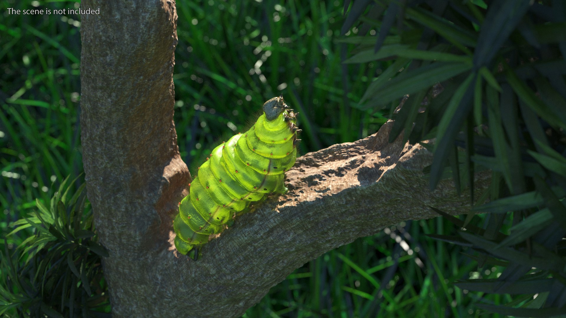 Silkworms Fur Rigged Collection 3D model https://p.turbosquid.com/ts-thumb/GA/lNTtdJ/vV/silkwormsfurriggedcollection3dmodel024/jpg/1657220033/1920x1080/fit_q87/9b3dd2403ea43f213090e2d186a3e9ca64b460ea/silkwormsfurriggedcollection3dmodel024.jpg