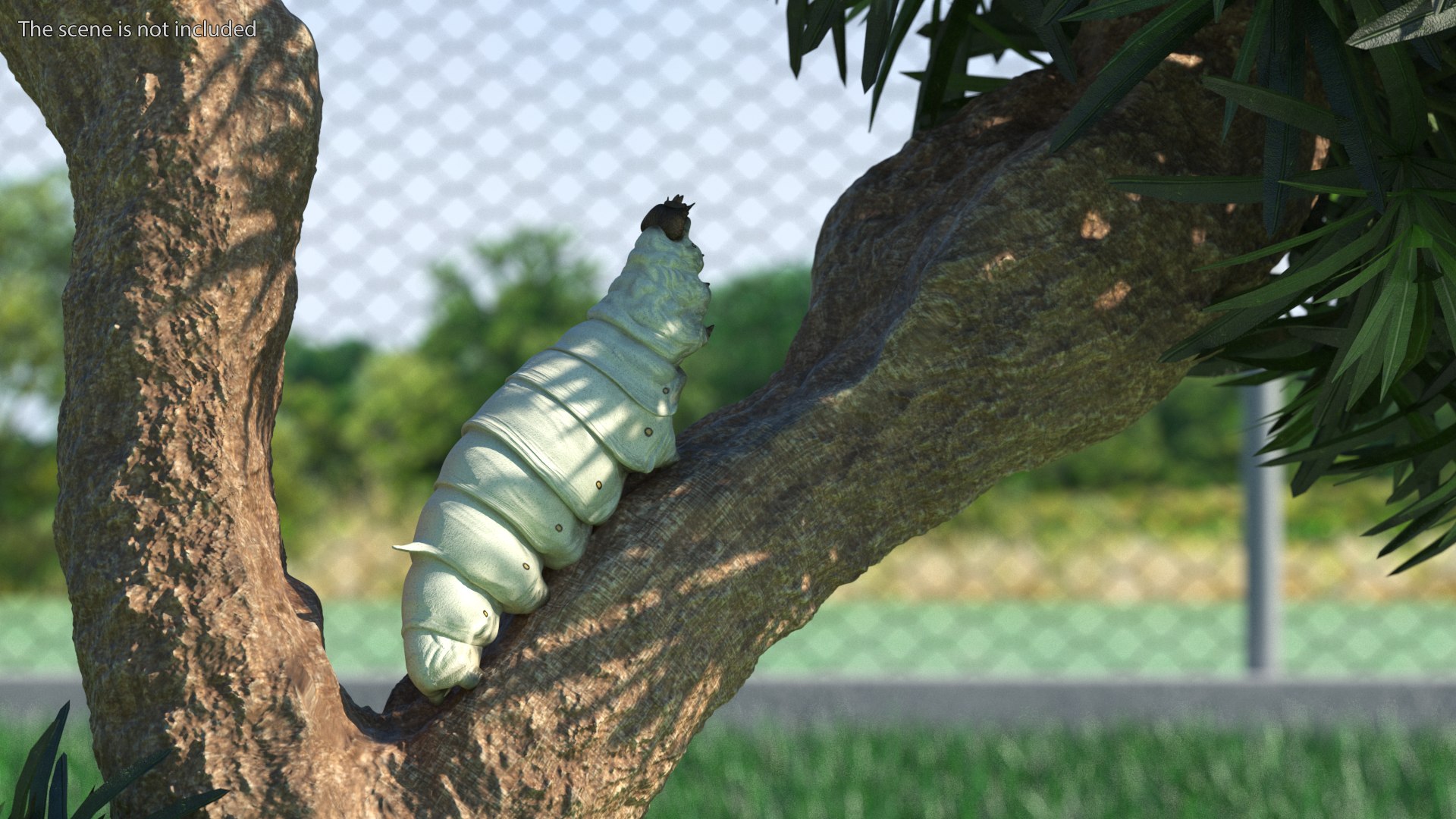 Silkworms Fur Rigged Collection 3D model https://p.turbosquid.com/ts-thumb/GA/lNTtdJ/we/silkwormsfurriggedcollection3dmodel006/jpg/1657219970/1920x1080/fit_q87/f2c66150fd0d460fda0ef8a53d461939366c7778/silkwormsfurriggedcollection3dmodel006.jpg