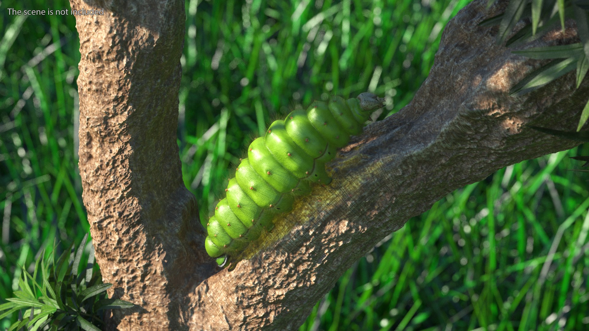 Silkworms Fur Rigged Collection 3D model https://p.turbosquid.com/ts-thumb/GA/lNTtdJ/yV/silkwormsfurriggedcollection3dmodel022/jpg/1657220027/1920x1080/fit_q87/b507b3f34a9fad40ea426c812ea6840247e1cfc0/silkwormsfurriggedcollection3dmodel022.jpg