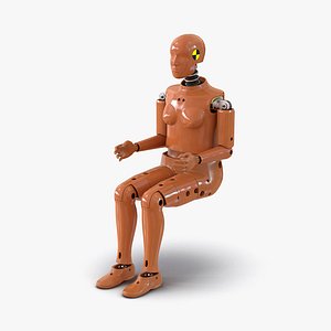 max female crash test dummy