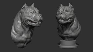 3D American bully head version 2