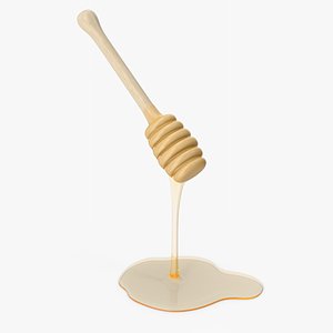 3D model Honey Dipper