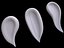Cosmetic Cream Smears