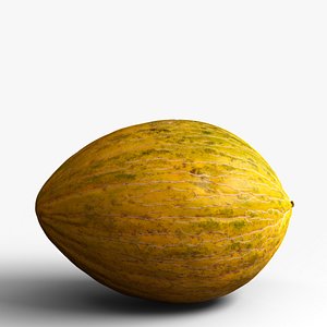 3D Melon Piel de Sapo 3D model high quality photogrammetry 8k
