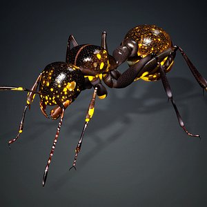 3D Ant-A1