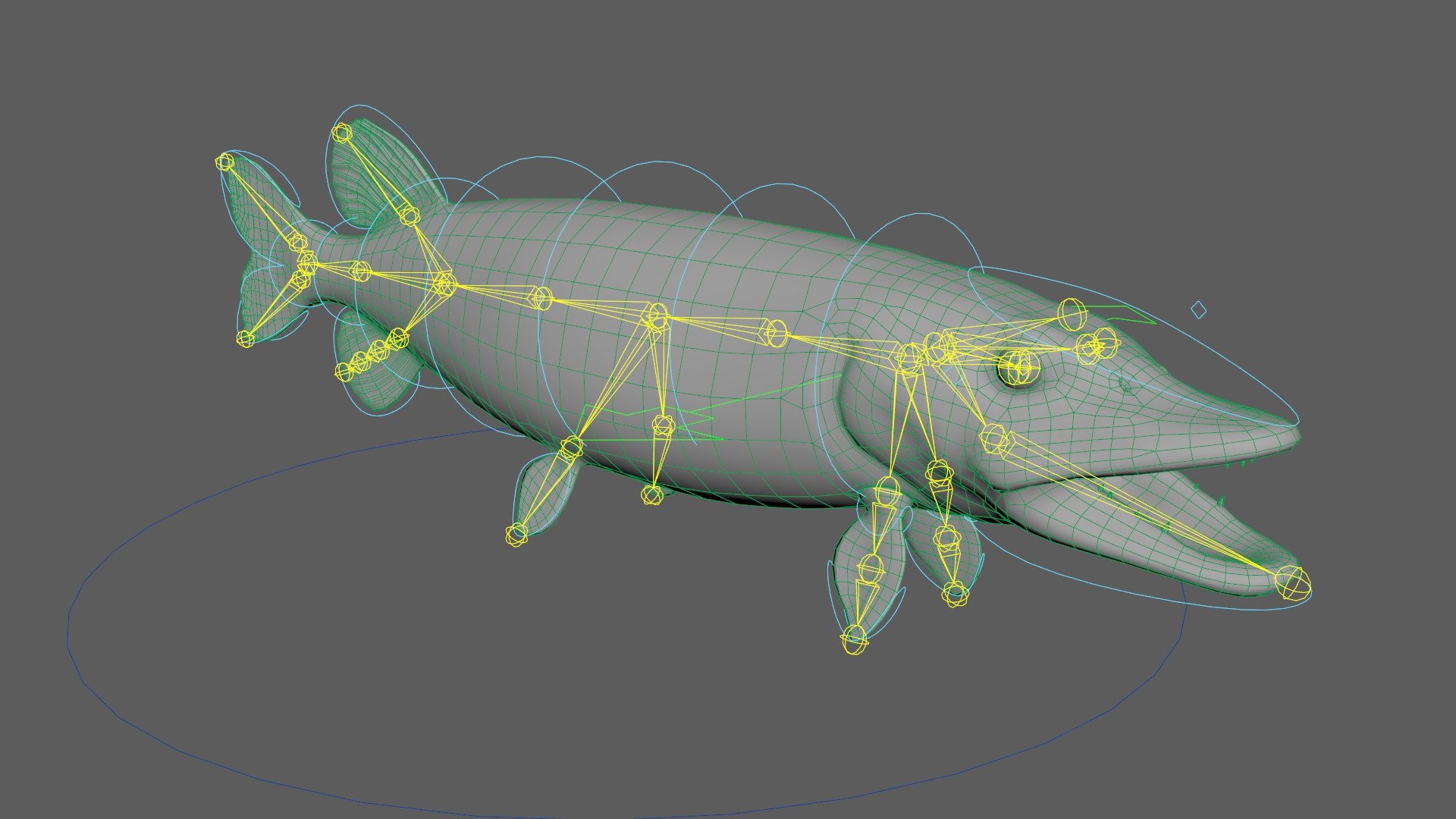 3D Northern Pike Fish Swim Animated Rigged For Maya https://p.turbosquid.com/ts-thumb/GB/QA0u29/y8/northern_pike_fish_swim_animated_rigged_for_maya_012/jpg/1780256826/1920x1080/fit_q87/27faeabf92c84ce371caab17358ff8cb3bfb8a85/northern_pike_fish_swim_animated_rigged_for_maya_012.jpg
